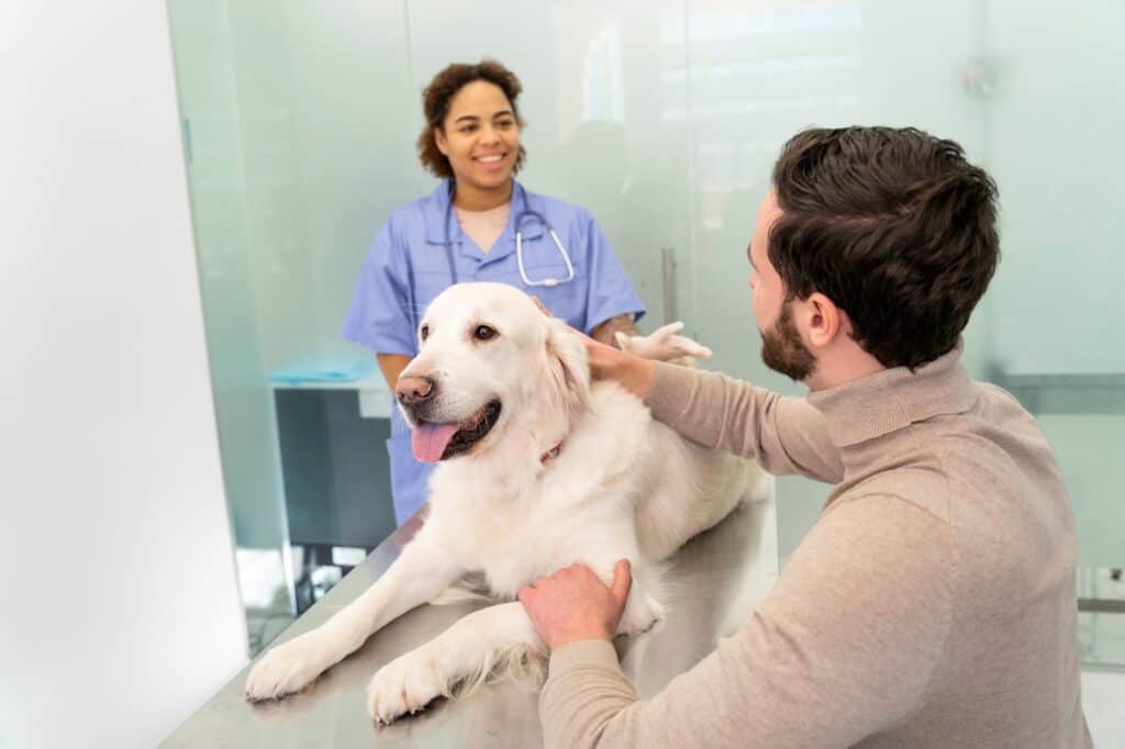 A pet dog and its owner visiting a vet before the house move