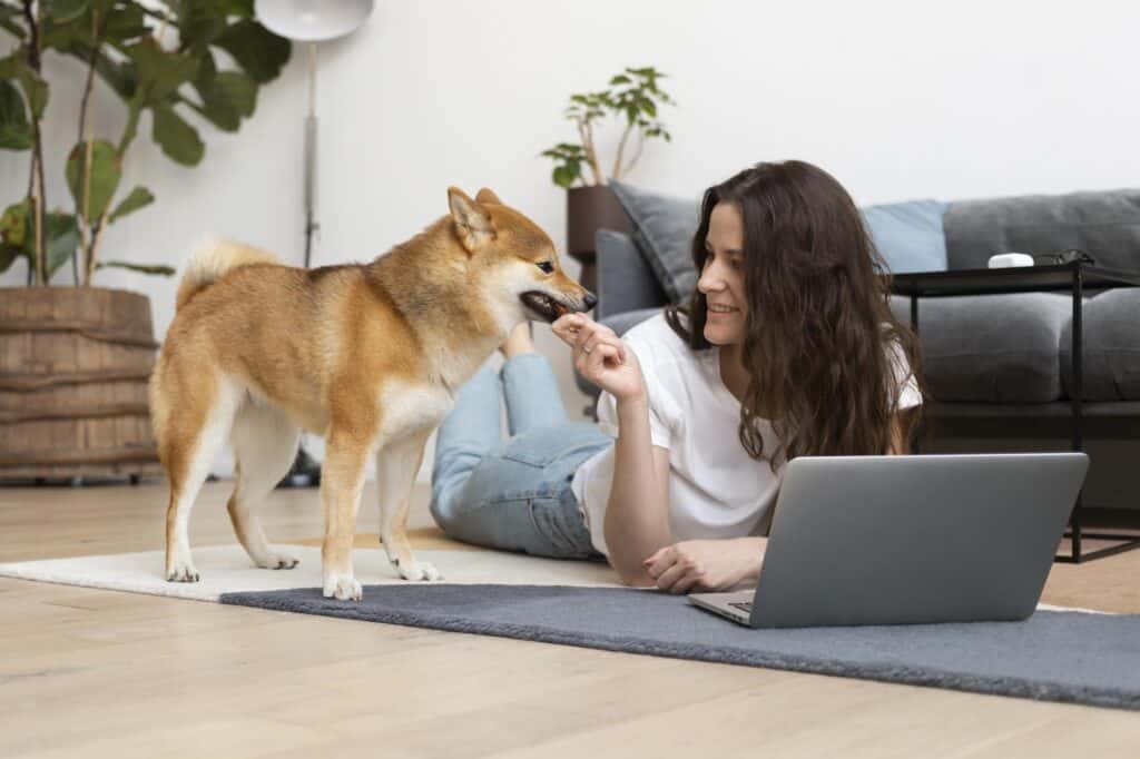 A woman and her dog playing in the living room post-move